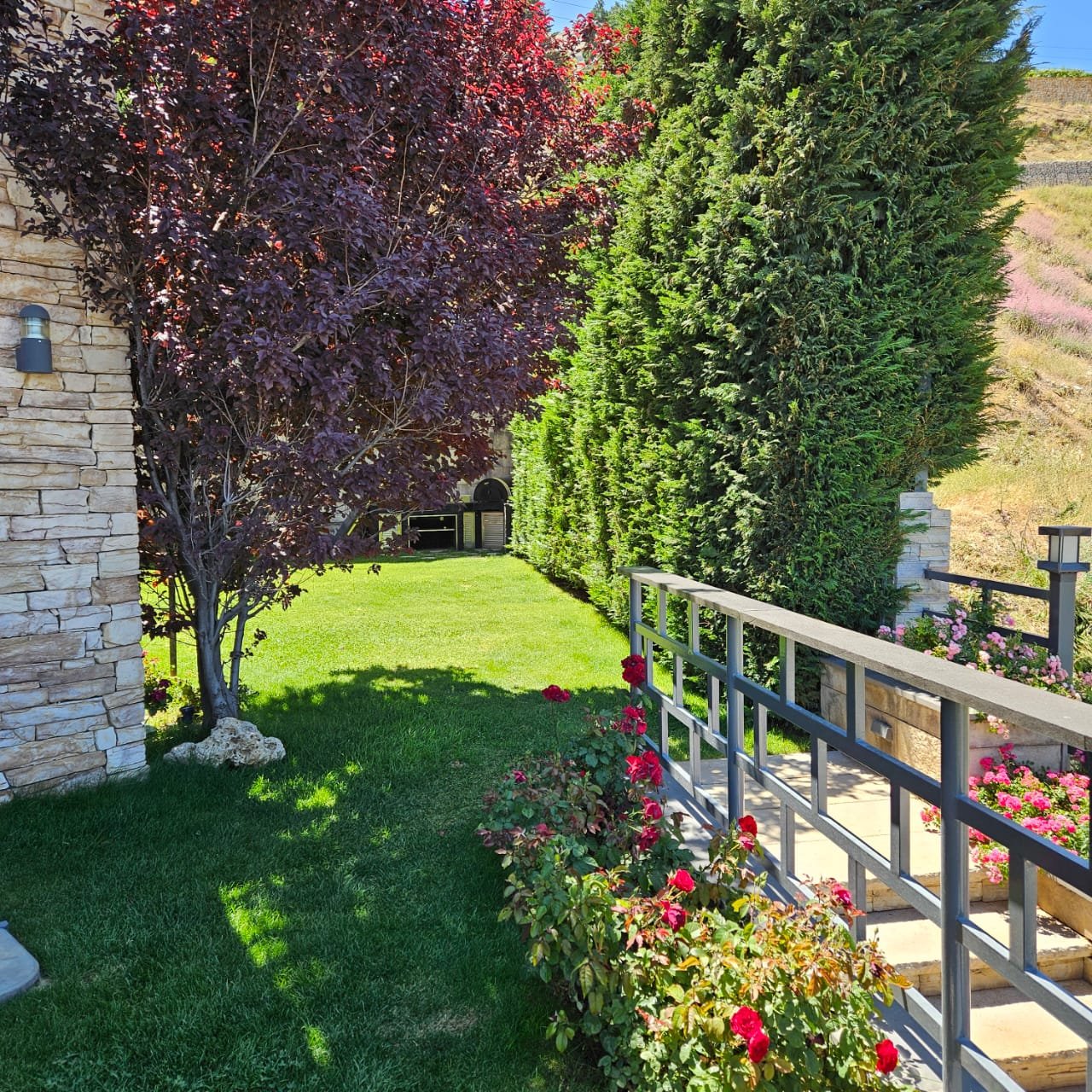 Outdoor Garden